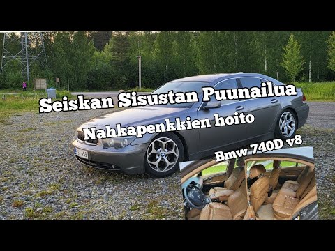 Bemarin sisustan puunailua