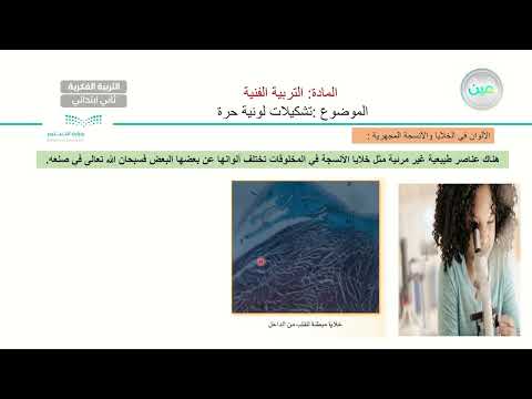 تشكيلات لونية حرة تربية فنية ثاني ابتدائي فكري2