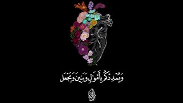 سورة نوح حالات واتس اب قرآن تلاوة خاشعة جميلة جدا 😌❤ بصوت يريح القلب