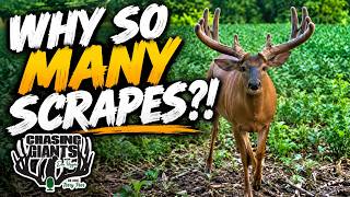 Why Are Bucks Scraping THIS MUCH Already? | Chasing Giants Podcast #345