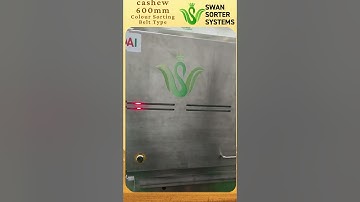 Cashew 600mm Belt Type Sorter