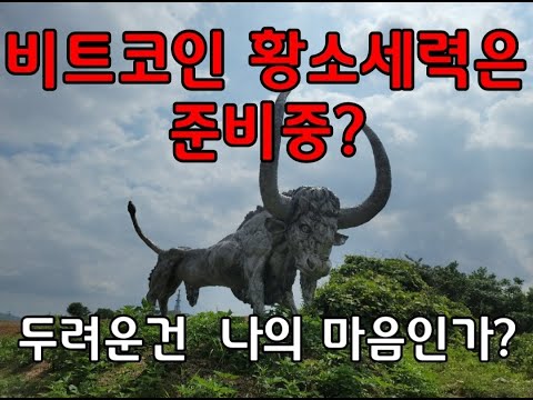 비트코인 황소세력은 준비중 