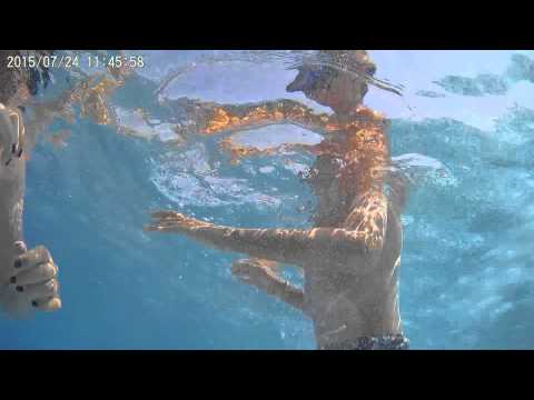 Video: Aké Vybavenie Musím Začať: Potápanie - Sieť Matador