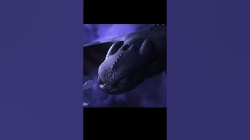 Don’t Blame Me, Love Made Me Crazy • Toothless • Httyd Edit •