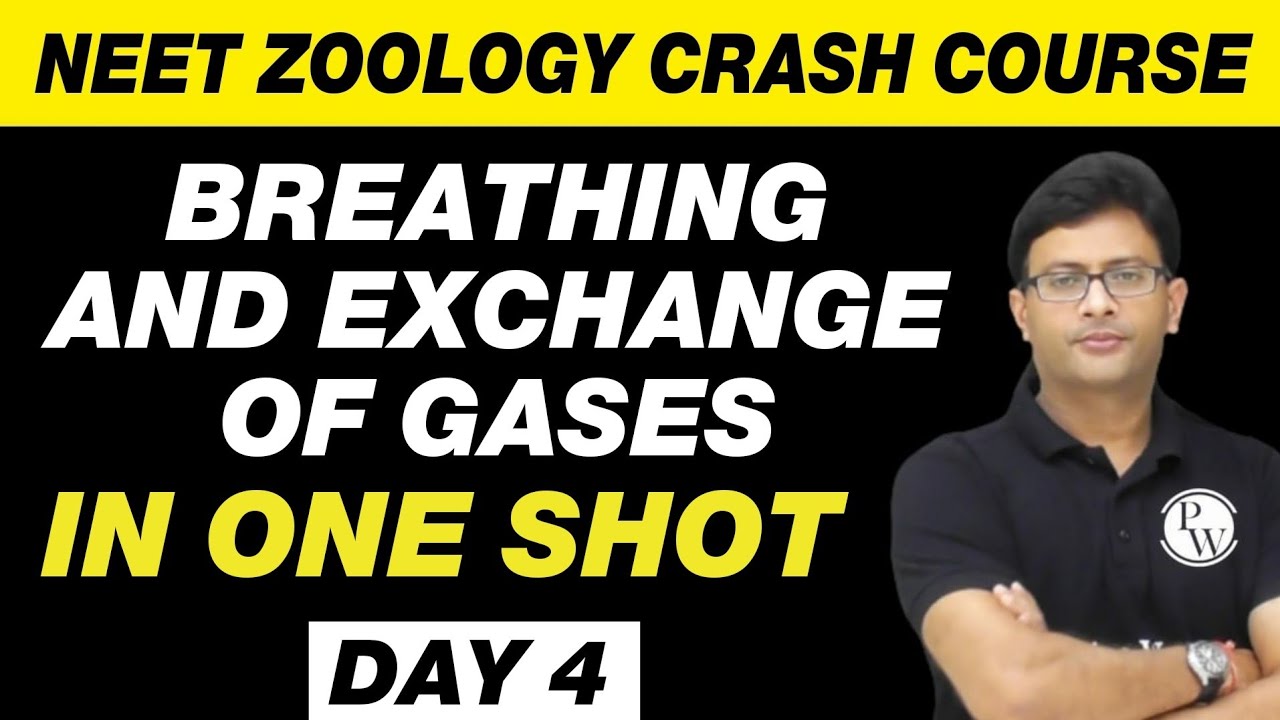 BREATHING AND EXCHANGE OF GASES In One Shot NEET Zoology Crash Course 
