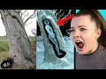 Top 10 Scary Discoveries | Marathon
