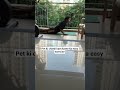 Pet Ki Charbi Kam Karne Ka Easy Workout #shorts #fitness #yoga #fitnessroutine #workoutroutine