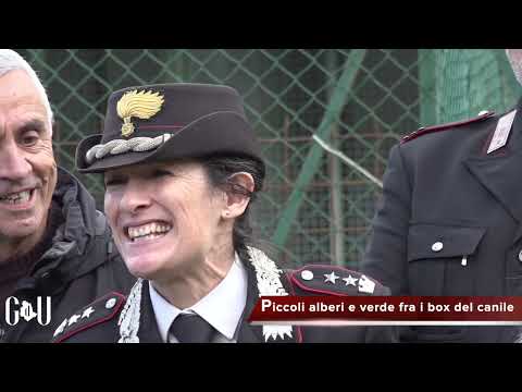 Video Piccoli alberi e verde fra i box del canile