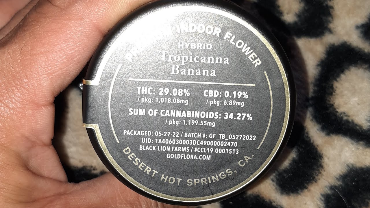 strain review gold flora tropicannaa banana