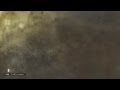 狐さんが勝手にきた。。。