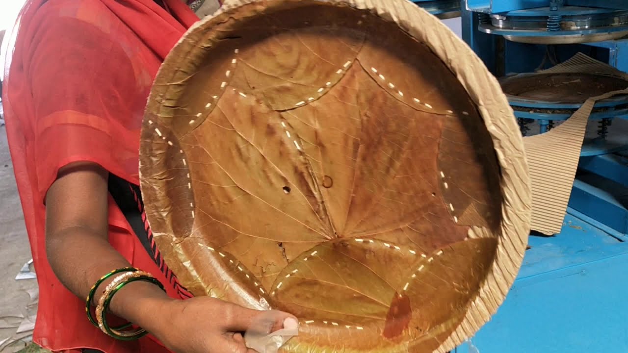 Call 8897386515 Natural Eco Friendly Leaf Plate Making Machine How to