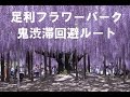 足利フラワーパーク渋滞回避？術。佐野ＩＣ→Ｒ５０号