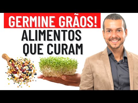 Como Germinar Sementes De Quinoa
