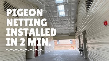 Pigeon Netting Installed in 2 Minutes