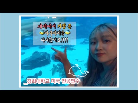 [경희대학교 미국 전공연수] 🐬세계에서 제일 큰 아쿠아리움🐠. 조지아 아쿠아리움. 관람차 타기🎡. 경희대학교 한국어학과 연수 | Sinna 신나 _ 경희대생 일상 |