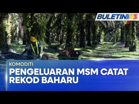 KOMODITI | Pengeluaran MSM Dijangka Catat Rekod Baharu Tahun Ini (BU)