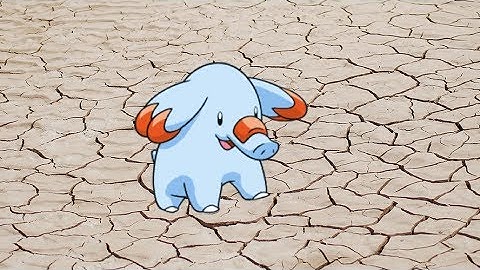 Live shiny patch! Shiny Phanpy in Pokemon Pearl at a chain of 40