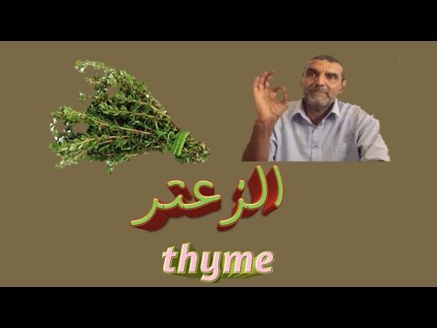 ما هي فوائد الزعتر "thyme" و كيف يجب تناوله ? الدكتور محمد الفايد