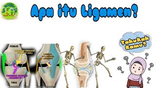 Tahukah kamu apa itu Ligamen | Si Taka (SerI TAhukah KAmu)