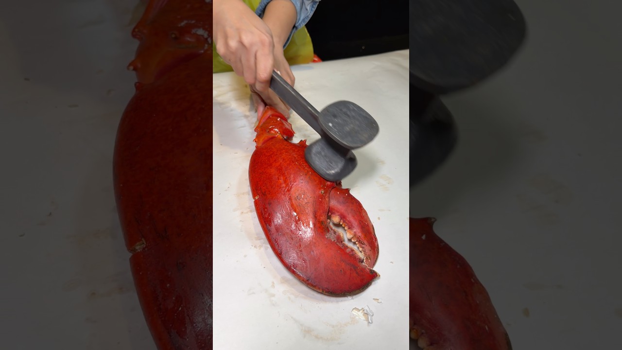 Cracking a 6 lb lobster claw!🦞 