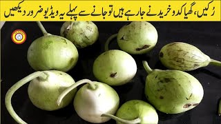 Food tips | Money saving tips |Tips and tricks | Food buying guide | grocery shopping tips | Kaddu