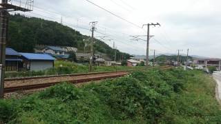 EF210-164 8053レ 小坂一踏切通過