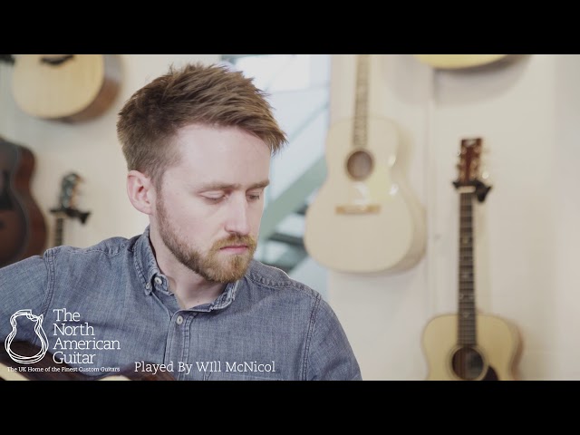 Avian Skylark Standard Cutaway Rosewood Acoustic Guitar Played By