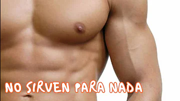 ¿Cuál es la parte inútil del cuerpo?