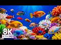 Dream Aquarium 8K VIDEO ULTRA HD 🐠 Colorful Marine Life and Calm Nature Sounds