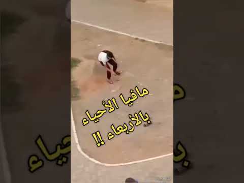 وين بها يا مافياااا الأحياء بالأربعاء الجزائر
