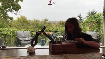 New KiwiCo Crate - Hydraulics with Photobomb by a Hummingbird