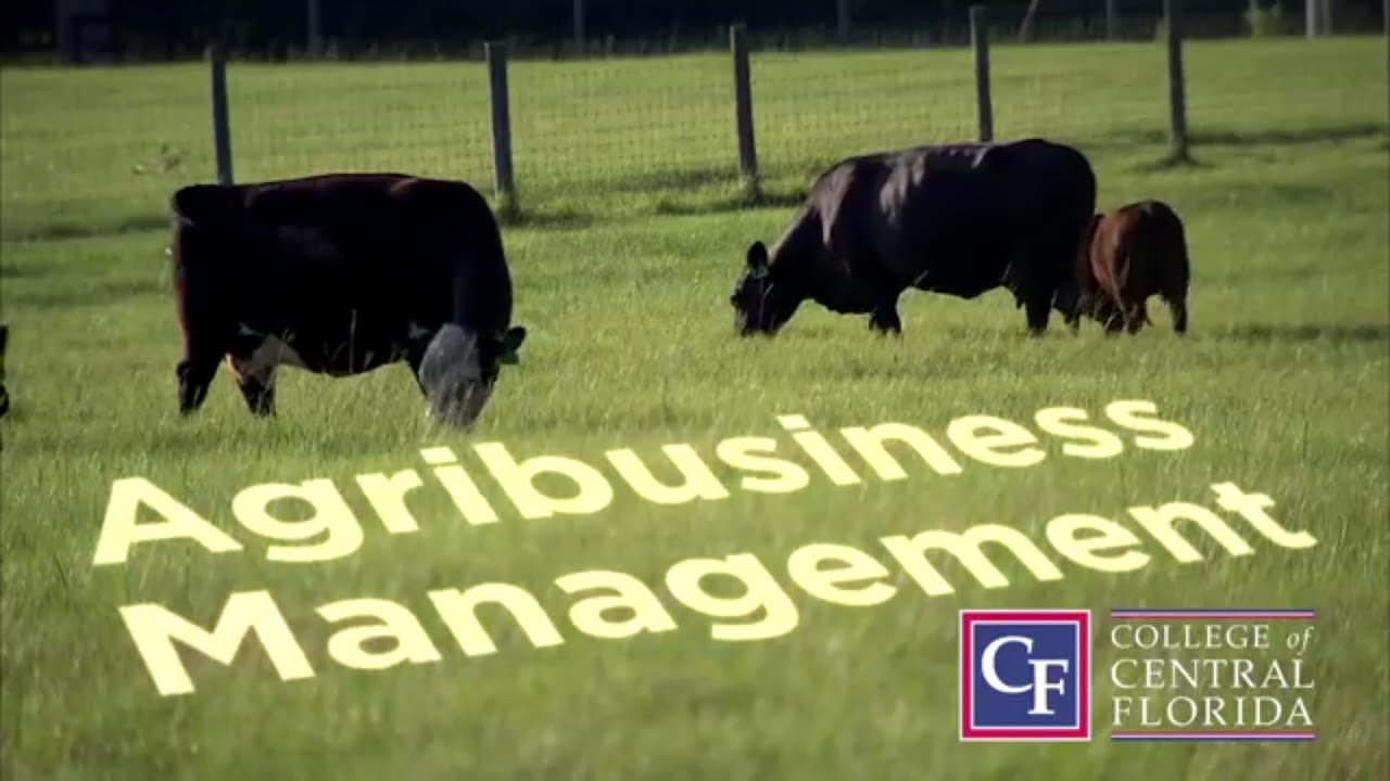 Agribusiness Management at CF - YouTube