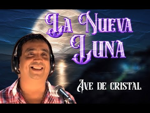 La Nueva Luna - Ave de cristal | Video LYRIC