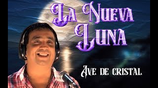 Version 2 of the video