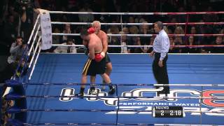 Joseph Parker v Francois Botha