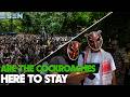 Inside Abhijeet Dipke’s "Cockroach" Protest in Delhi: Parody vs Reality