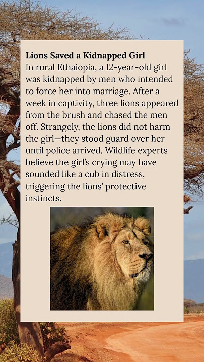 The Gentle Lions #wholesome #lion