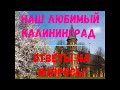 Наш любимый Калининград. Ответы на вопросы