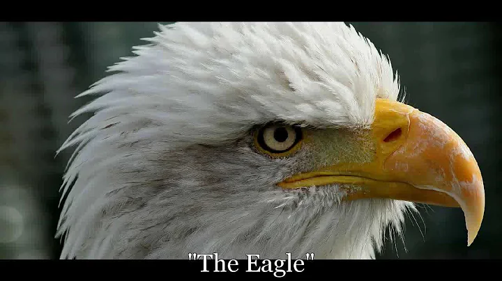 "The Eagle," by Alfred, Lord Tennyson