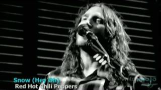 The History of Red Hot Chili Peppers with all members of RHCP
