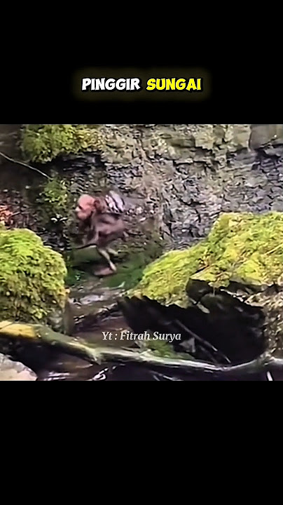 MAHLUK MITOLOGI SERAM YANG TEREKAM KAMERA #fitrahsurya #facts