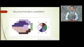 Glaucoma Detection Lecture Series | Part 4: How to Correlate Structure and Function in Glaucoma