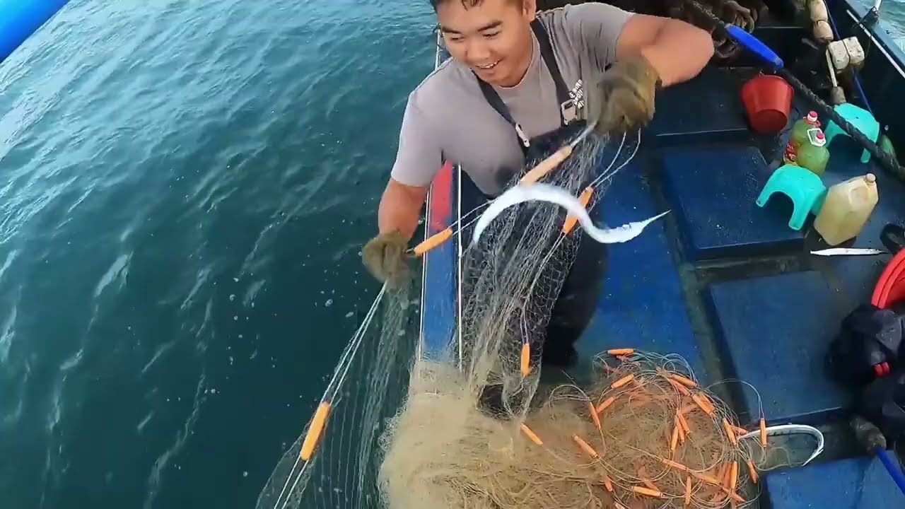 渔民父子凌晨出发捕鱼，今天运气很棒，下网正中鱼群，一网拉到手软，太爽了【渔民小梁】