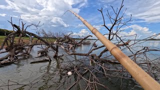 Pescaria de tucunaré no Rio grande era o último camarão e isso aconteceu gigantesco 