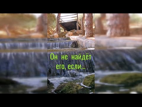 Мудрая Притча о
