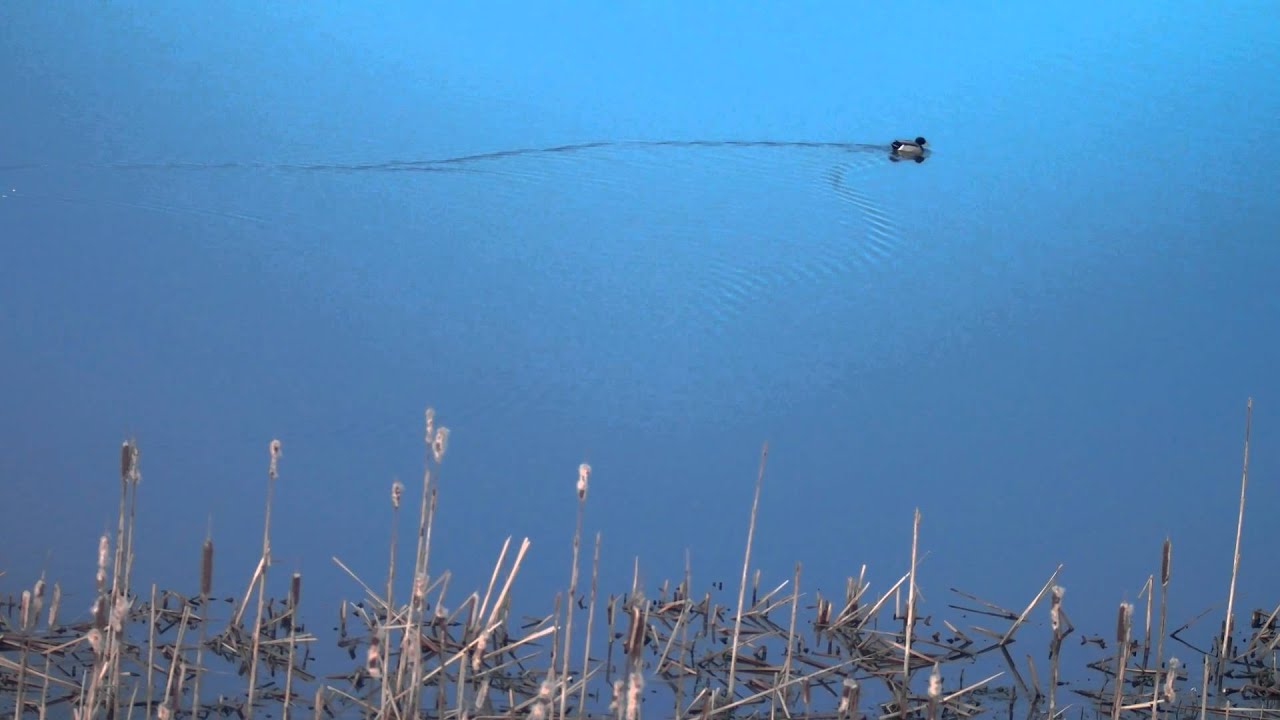 Ega Engso بحيرة