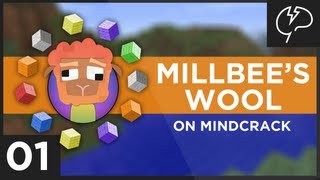 Minecraft ::Millbee's Wool On Mindcrack  - Episode #1 'Noob Caving'