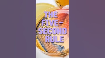 Is the Five-Second Rule a Myth? Debunked in 60 Seconds!