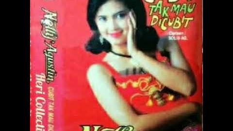Nelly Agustin - Cempedak Berbuah Nangka