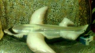 Inflatable Shark Deflate Part.9 Hd
